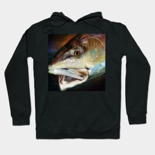 The Evening Red Drum Painting Hoodie